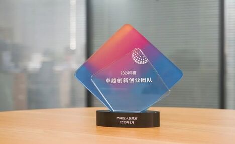 西湖制药荣获“2024年度西 ...